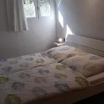 Suncano
