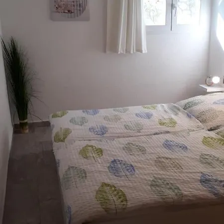 Suncano تْسْغيكفانِتْسا